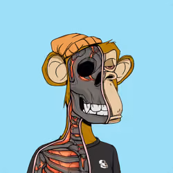 Anatomy Science Ape Club #5256