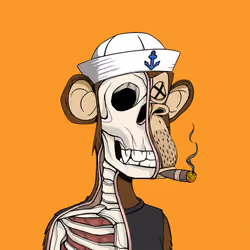 Anatomy Science Ape Club #6274