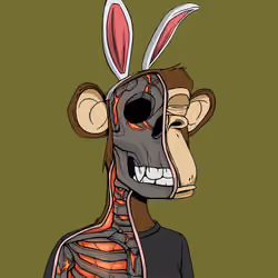 Anatomy Science Ape Club #1666
