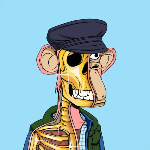 Anatomyscienceapeclub