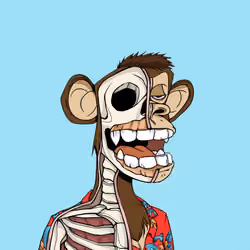 Anatomy Science Ape Club #526