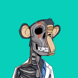 Anatomy Science Ape Club #6560