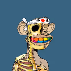 Anatomy Science Ape Club #5360