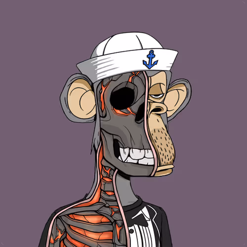 Anatomyscienceapeclub