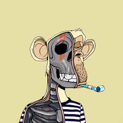 Anatomy Science Ape Club #2292