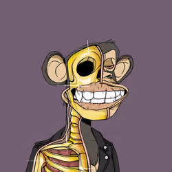 Anatomy Science Ape Club #3508