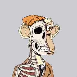 Anatomy Science Ape Club #1132