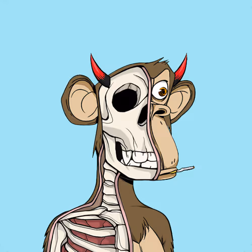 Anatomyscienceapeclub