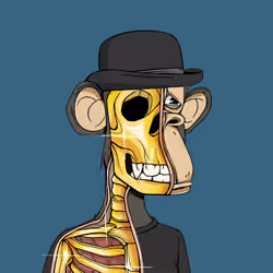 Anatomy Science Ape Club #6832
