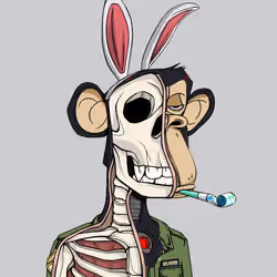 Anatomy Science Ape Club #1856