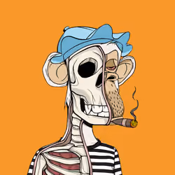 Anatomy Science Ape Club #7354
