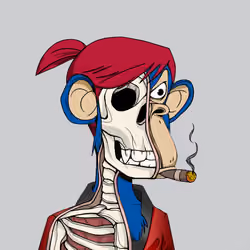 Anatomy Science Ape Club #1014