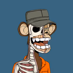 Anatomy Science Ape Club #111