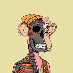 Anatomy Science Ape Club #4901