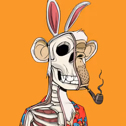 Anatomy Science Ape Club #2551