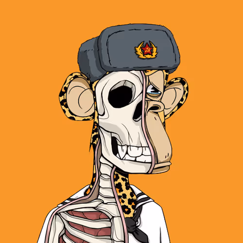 Anatomyscienceapeclub