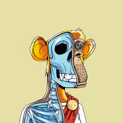 Anatomy Science Ape Club #6205