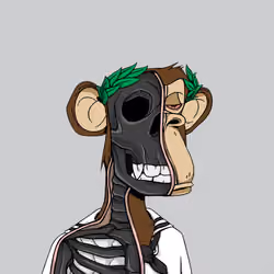 Anatomy Science Ape Club #4704