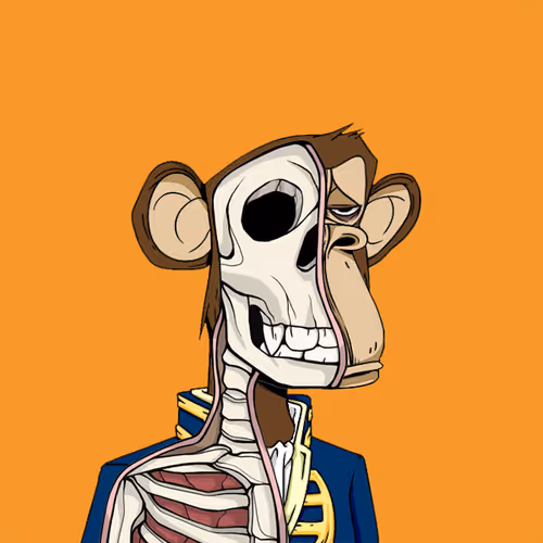 Anatomyscienceapeclub