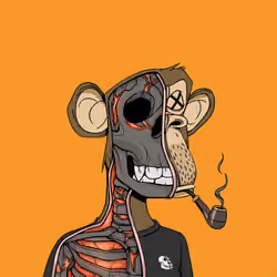 Anatomy Science Ape Club #4289