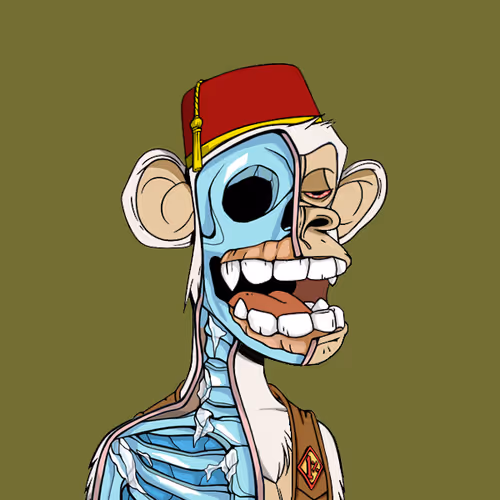 Anatomyscienceapeclub