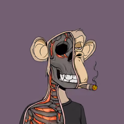 Anatomy Science Ape Club #5863