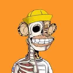 Anatomy Science Ape Club #6250