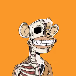 Anatomy Science Ape Club #381