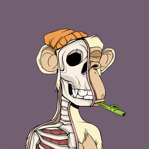 Anatomyscienceapeclub
