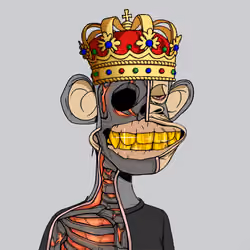 Anatomy Science Ape Club #4