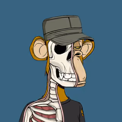 Anatomy Science Ape Club #3019