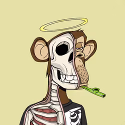 Anatomy Science Ape Club #6793