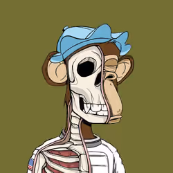 Anatomy Science Ape Club #224