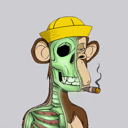Anatomy Science Ape Club #6359