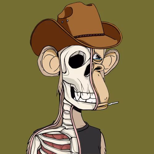 Anatomyscienceapeclub