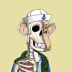 Anatomy Science Ape Club #1029
