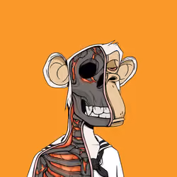 Anatomy Science Ape Club #4672