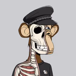Anatomy Science Ape Club #4032
