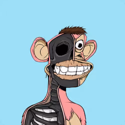 Anatomy Science Ape Club #7298