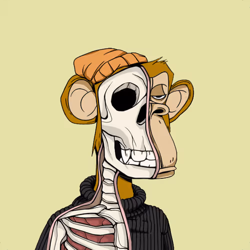 Anatomyscienceapeclub