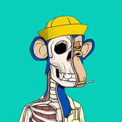 Anatomy Science Ape Club #3036