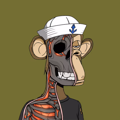 Anatomyscienceapeclub