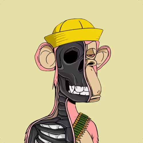 Anatomyscienceapeclub