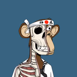 Anatomy Science Ape Club #938