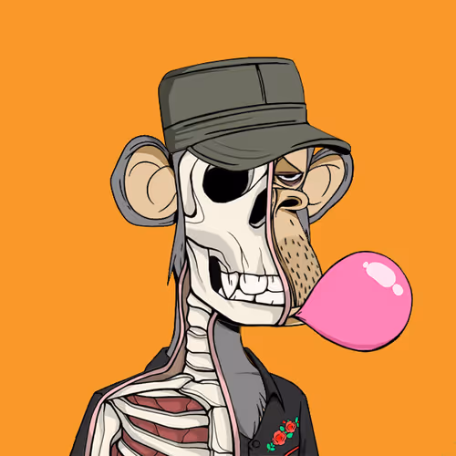 Anatomyscienceapeclub