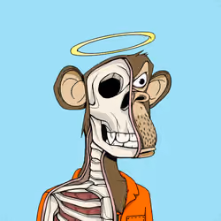 Anatomy Science Ape Club #6476