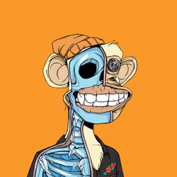 Anatomy Science Ape Club #2758