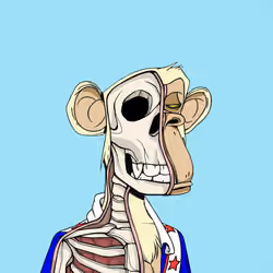 Anatomy Science Ape Club #7858