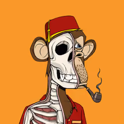 Anatomy Science Ape Club #4635