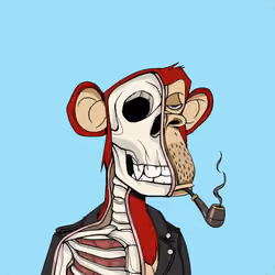 Anatomy Science Ape Club #4725